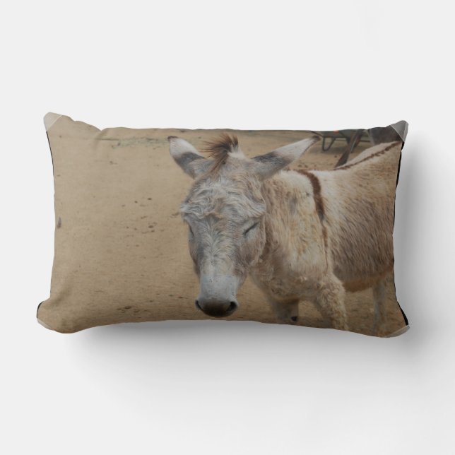 Sleepy Donkey Lumbar Cushion (Front)