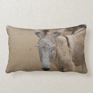 Sleepy Donkey Lumbar Cushion