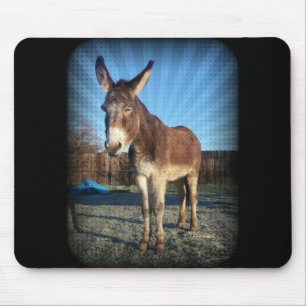 Sleepy Donkey Mouse Pad