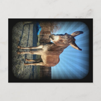 Sleepy Donkey Postcard