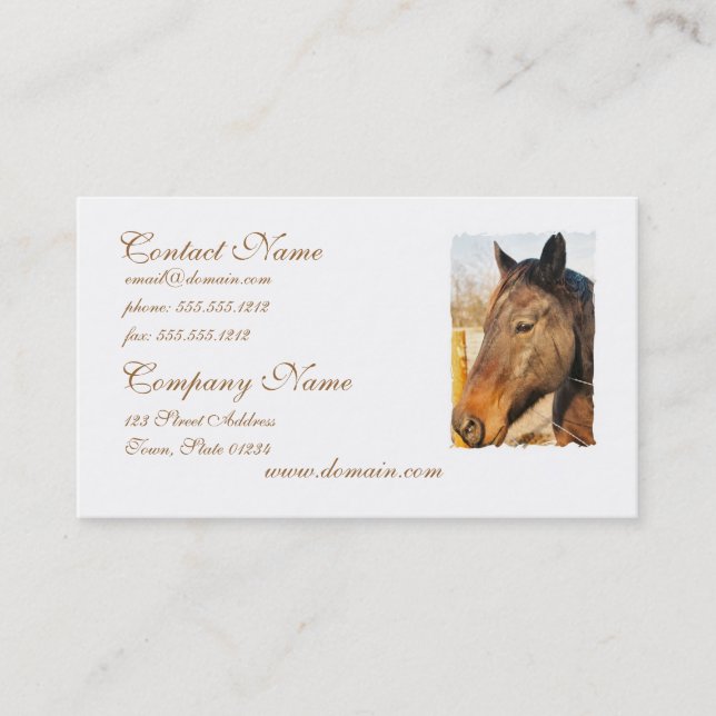 Sleepy Draught   Horse Business Cards (Front)