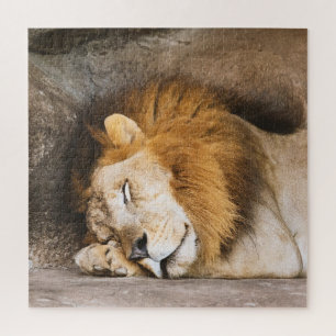 Sleepy Dreaming Adult Lion on Rocks Jigsaw Puzzle
