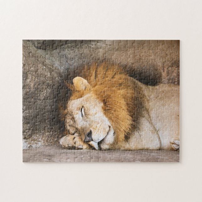 Sleepy Dreaming Adult Lion on Rocks Jigsaw Puzzle (Horizontal)