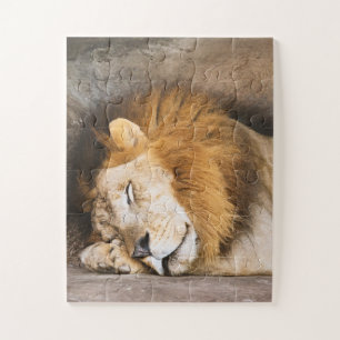Sleepy Dreaming Adult Lion on Rocks Jigsaw Puzzle