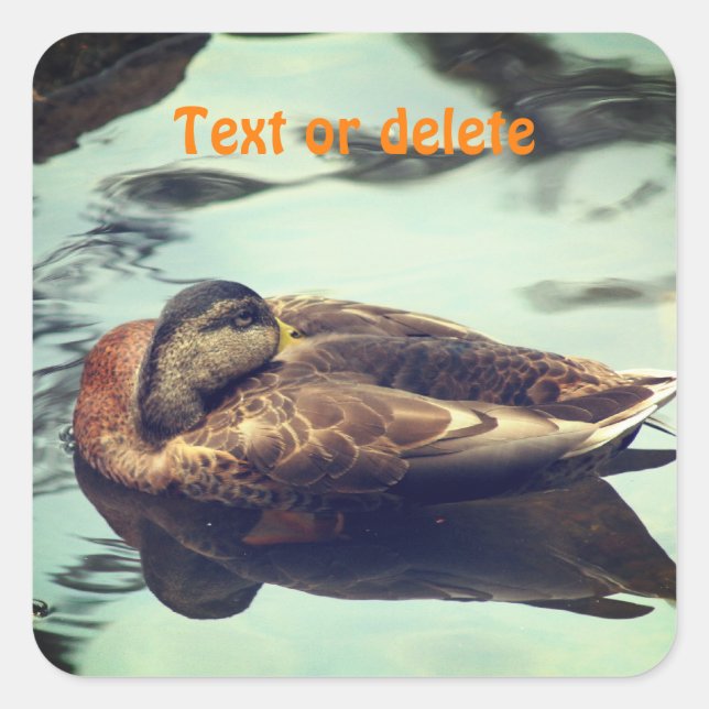 Sleepy Duck Personalised Nature  Square Sticker (Front)
