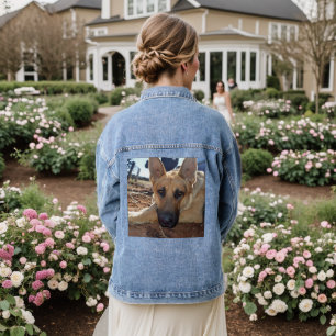 Sleepy Entilment: Young Alsatian Shepherd Dog, Denim Jacket