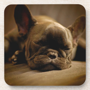Sleepy French Bulldog Coaster