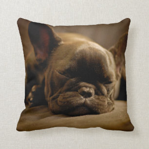 Sleepy French Bulldog Cushion