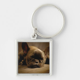 Sleepy French Bulldog Key Ring