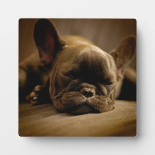 Sleepy French Bulldog Plaque