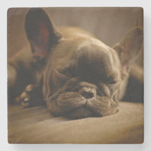 Sleepy French Bulldog Stone Coaster