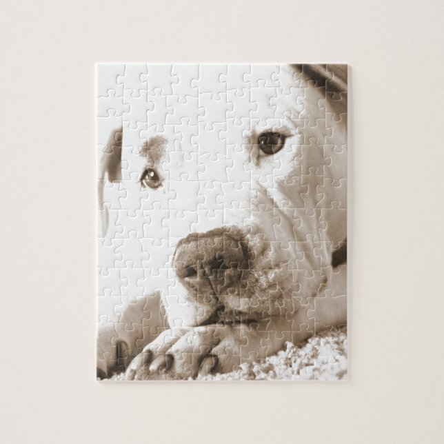 sleepy friendly white pitbull hate deed not breed jigsaw puzzle (Vertical)