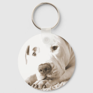 sleepy friendly white pitbull hate deed not breed key ring
