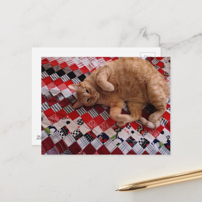 Sleepy Ginger Kitty on a red quilt Postcard (Front/Back In Situ)