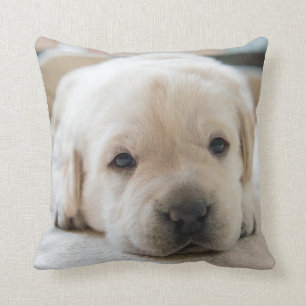 Sleepy Golden Labrador Puppy Cushion