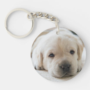 Sleepy Golden Labrador Puppy Key Ring