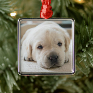 Sleepy Golden Labrador Puppy Metal Ornament