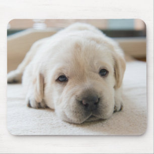 Sleepy Golden Labrador Puppy Mouse Pad