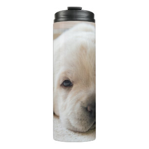 Sleepy Golden Labrador Puppy Thermal Tumbler