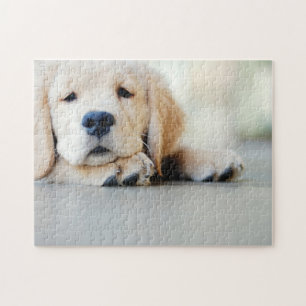 Sleepy Golden Retriever Puppy Jigsaw Puzzle