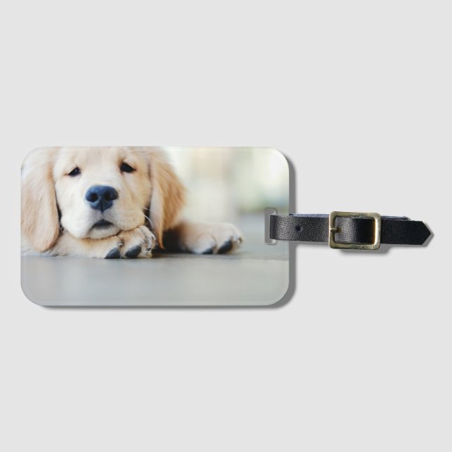 Sleepy Golden Retriever Puppy Luggage Tag (Front Horizontal)
