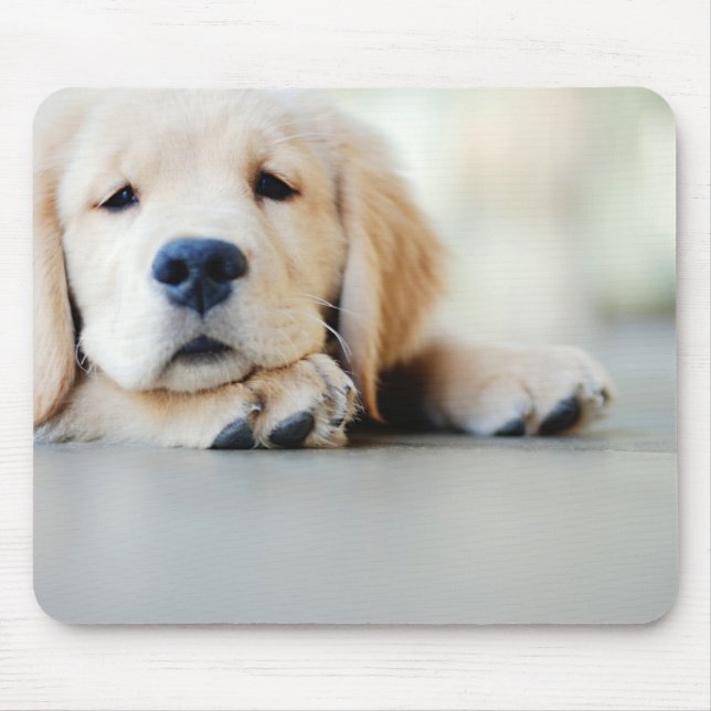 Sleepy Golden Retriever Puppy Mouse Pad (Front)