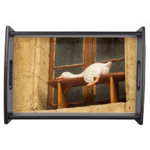 Sleepy Goose Serving Tray