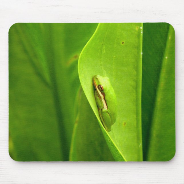 Sleepy Green Frog Mouse Pad (Front)
