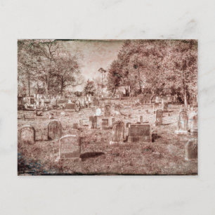 Sleepy Hollow Cemetery Vintage Postcard