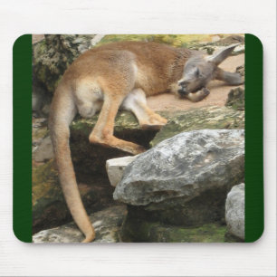 Sleepy Kangaroo Mouse Pad