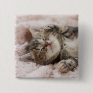 Sleepy Kitten 15 Cm Square Badge