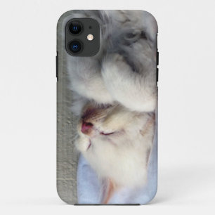 Sleepy Kitten iPhone 11 Case