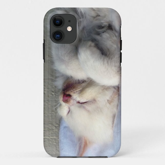 Sleepy Kitten Case-Mate iPhone Case (Back)