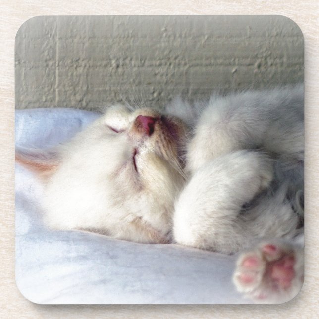 Sleepy Kitten Coaster (Front)