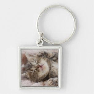 Sleepy Kitten Key Ring