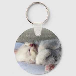 Sleepy Kitten Key Ring