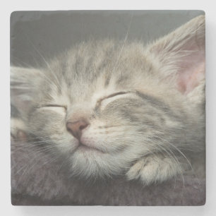 Sleepy Kitten Stone Coaster