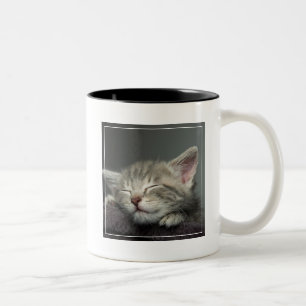 Sleepy Kitten Two-Tone Coffee Mug