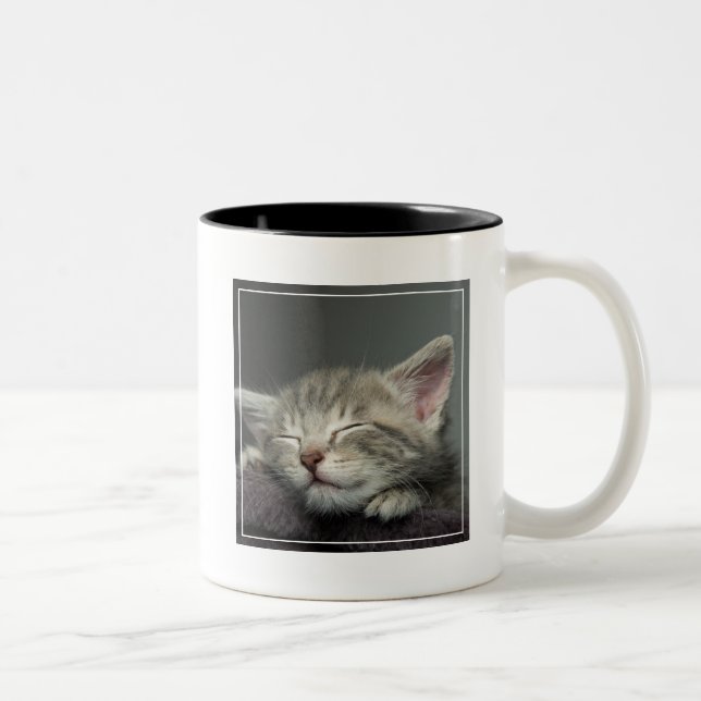 Sleepy Kitten Two-Tone Coffee Mug (Right)