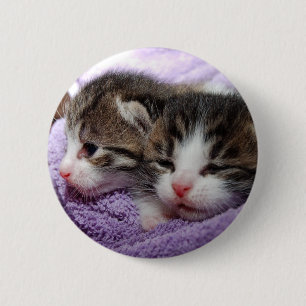 Sleepy kittens 6 cm round badge