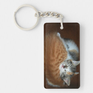 Sleepy kittens key ring