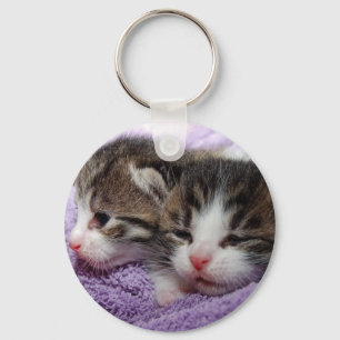 Sleepy kittens key ring