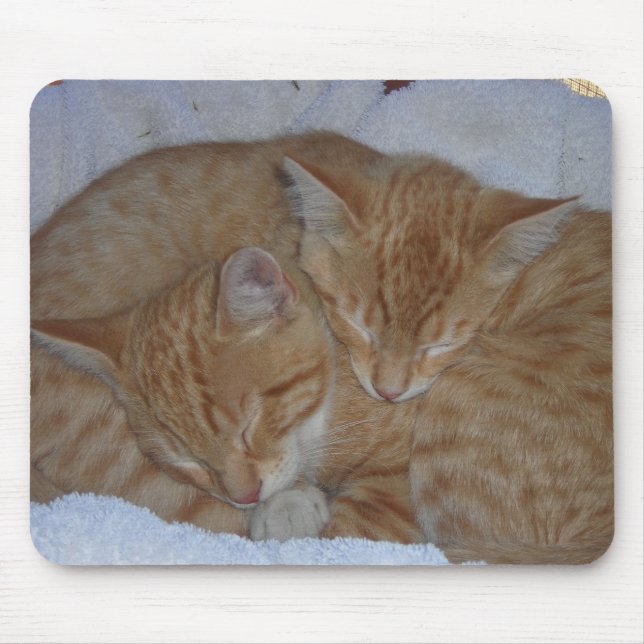 Sleepy kittens mouse pad (Front)