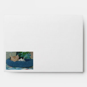 Sleepy Kitties/Orange Tabby Cat Envelopes