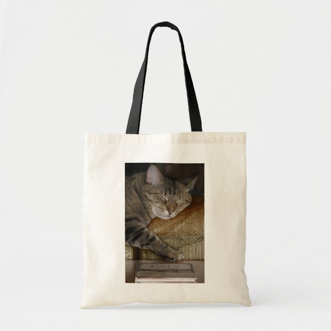 Sleepy Kitty Book Bag (Front)