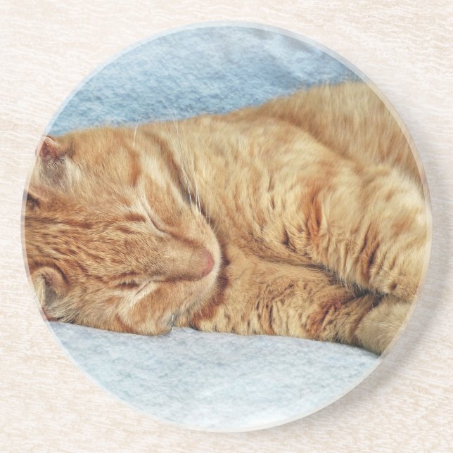 Sleepy Kitty Coaster (Front)