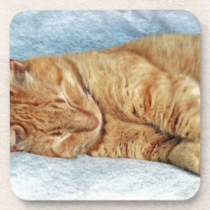 Sleepy Kitty Coaster
