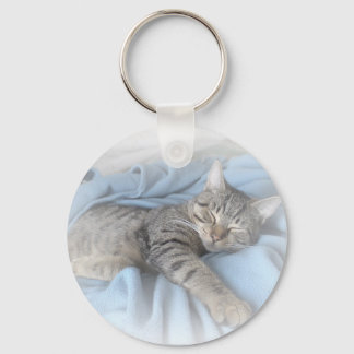 Sleepy Kitty Key Ring