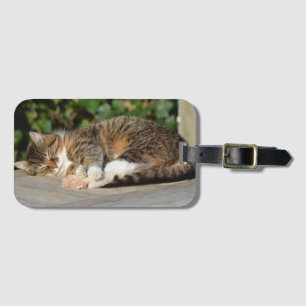 Sleepy kitty luggage tag