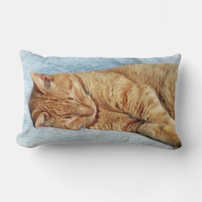 Sleepy Kitty Lumbar Cushion (Front)